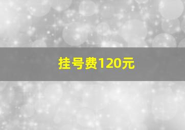 挂号费120元