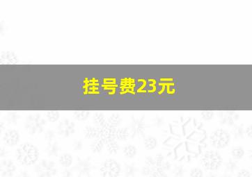 挂号费23元