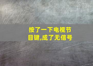 按了一下电视节目键,成了无信号