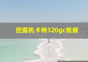 挖掘机卡特320gc视频