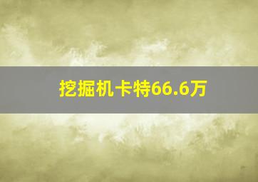 挖掘机卡特66.6万