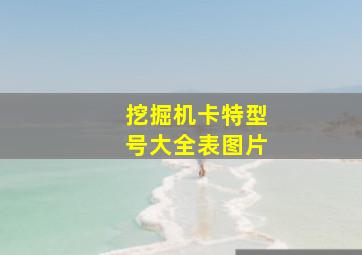 挖掘机卡特型号大全表图片