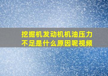 挖掘机发动机机油压力不足是什么原因呢视频