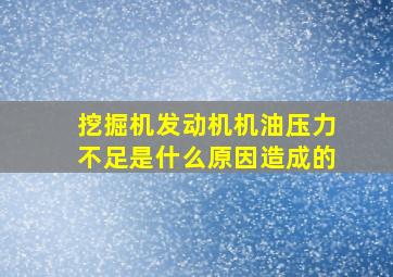 挖掘机发动机机油压力不足是什么原因造成的