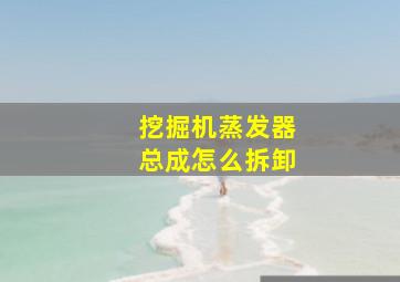 挖掘机蒸发器总成怎么拆卸