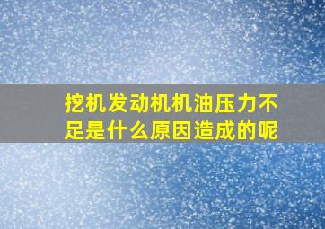 挖机发动机机油压力不足是什么原因造成的呢