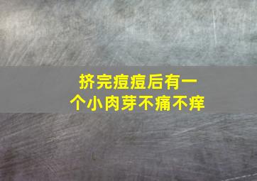 挤完痘痘后有一个小肉芽不痛不痒