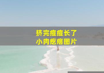 挤完痘痘长了小肉疙瘩图片