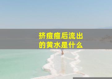 挤痘痘后流出的黄水是什么