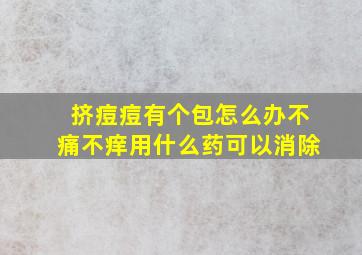 挤痘痘有个包怎么办不痛不痒用什么药可以消除