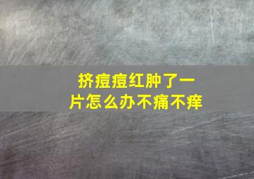 挤痘痘红肿了一片怎么办不痛不痒