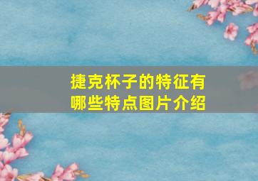 捷克杯子的特征有哪些特点图片介绍