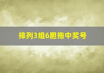 排列3组6胆拖中奖号