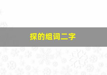 探的组词二字