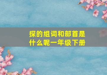 探的组词和部首是什么呢一年级下册