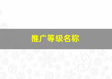 推广等级名称