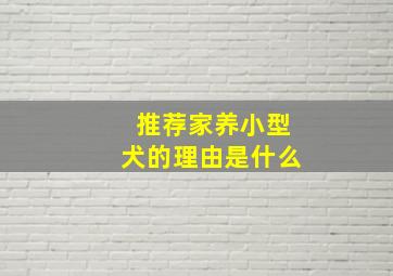 推荐家养小型犬的理由是什么