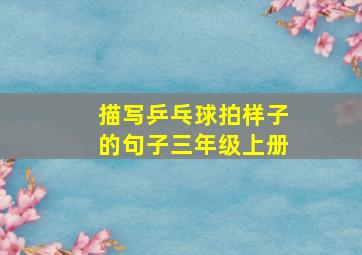 描写乒乓球拍样子的句子三年级上册