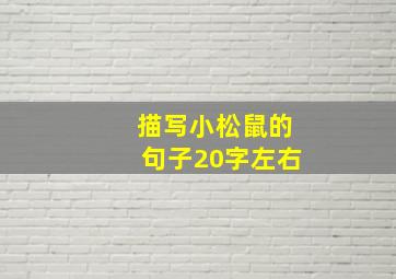 描写小松鼠的句子20字左右