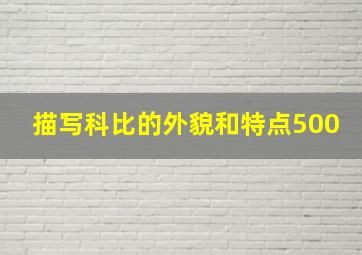 描写科比的外貌和特点500