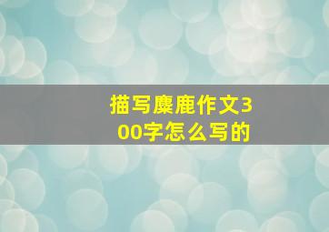 描写麋鹿作文300字怎么写的