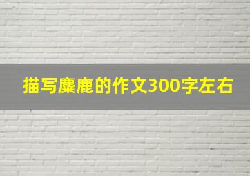 描写麋鹿的作文300字左右