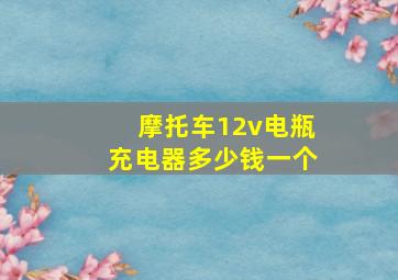 摩托车12v电瓶充电器多少钱一个