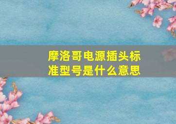 摩洛哥电源插头标准型号是什么意思