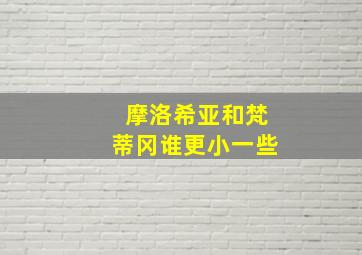 摩洛希亚和梵蒂冈谁更小一些