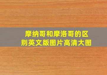 摩纳哥和摩洛哥的区别英文版图片高清大图