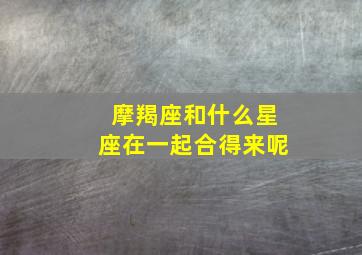 摩羯座和什么星座在一起合得来呢