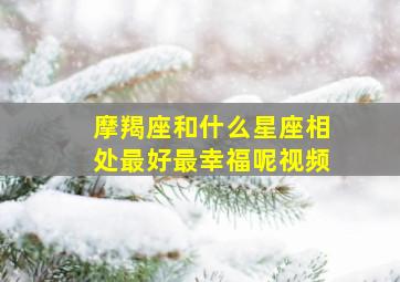 摩羯座和什么星座相处最好最幸福呢视频