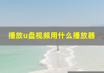 播放u盘视频用什么播放器