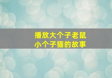 播放大个子老鼠小个子猫的故事