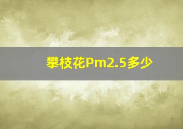 攀枝花Pm2.5多少