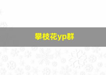 攀枝花yp群