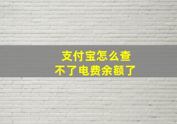 支付宝怎么查不了电费余额了