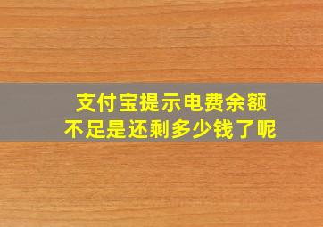 支付宝提示电费余额不足是还剩多少钱了呢