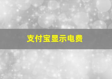 支付宝显示电费