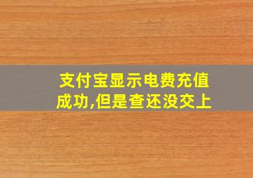 支付宝显示电费充值成功,但是查还没交上