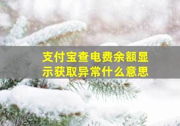 支付宝查电费余额显示获取异常什么意思