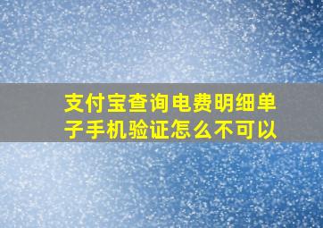 支付宝查询电费明细单子手机验证怎么不可以