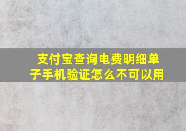 支付宝查询电费明细单子手机验证怎么不可以用