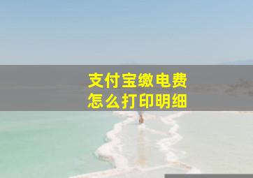 支付宝缴电费怎么打印明细