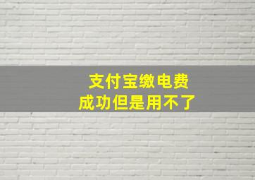 支付宝缴电费成功但是用不了