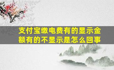 支付宝缴电费有的显示金额有的不显示是怎么回事