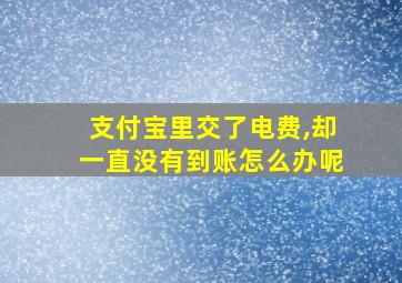 支付宝里交了电费,却一直没有到账怎么办呢