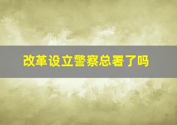 改革设立警察总署了吗