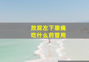 放屁左下腹痛吃什么药管用