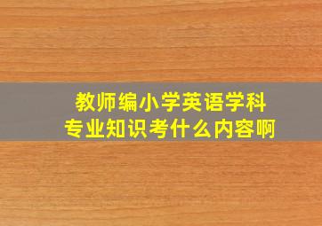 教师编小学英语学科专业知识考什么内容啊